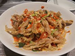 鸭掌筋-壹盏灯(惠农店)