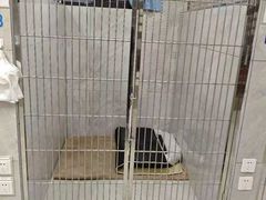 -北京派仕佳德动物医院·超导核磁·CT·神经科·骨科·内外科·急重症管理中心