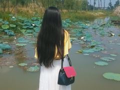 -白鹭湾湿地公园