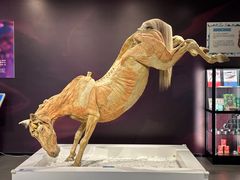 -生命奥秘博物馆