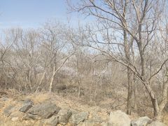 -阳台山自然风景区