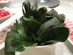 -龙福成肥牛火锅(文昌店)