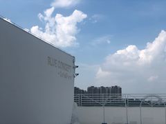 -Blue Concept Cafe&Farm·關於藍