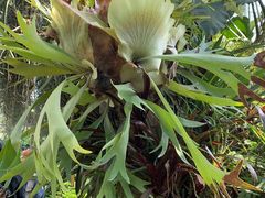 -国家植物园南园