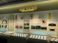 -中国茶叶博物馆(双峰馆区)