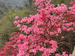-木兰云雾山