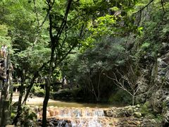 -牛背梁国家森林公园