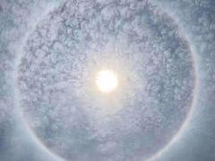 -八哥美术·成人美术画室(总校区)