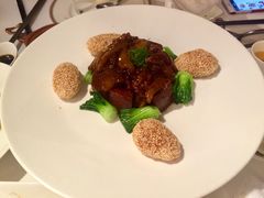 红烧肉焖鱼唇-苏浙总会(国金中心店)