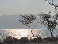 -大理洱海