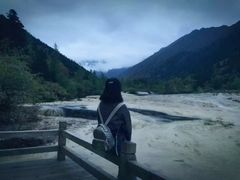 -黄龙山原始森林景区