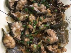 士汁蒸塘鲺-龙华酒家