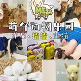 杭州探店｜打卡宝藏撸宠乐园！