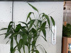 -YAFEE雅菲·粤菜·湘菜·融合菜(魏公村店)