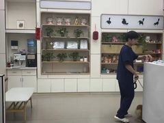 -凯瑞希宠物医院·狂犬免疫·微创·皮肤科