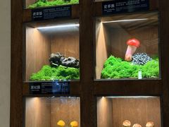 -菌自由丨野生菌火锅特色庭院餐厅(丽江古城店)