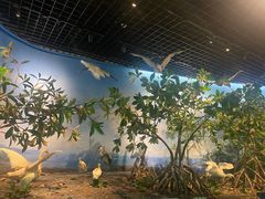 -福建博物院