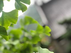 -星巴克(西湖天地店)