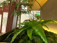 -船歌·鱼水饺青岛菜(枫蓝国际购物中心店)