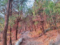 -阳台山自然风景区