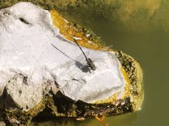 -张家港凤凰山景区河阳山歌馆