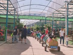 -麻涌飞鸭开心农场