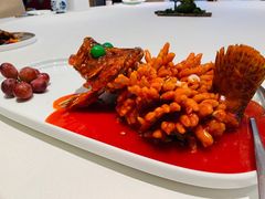 松鼠桂鱼-松鹤楼(月坛店)