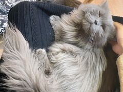-小时光咖啡馆(开森度假森林店)