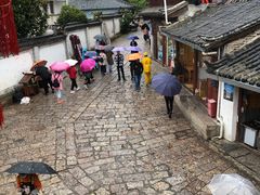 -云上珍野生菌(兴仁店)