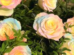 -狼山风景名胜区