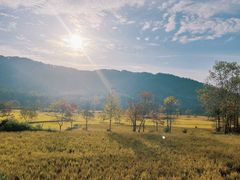 -塔川景区