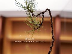 -二酉书店TOYOU BOOKS