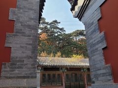 -阳台山自然风景区