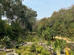 -南宁荔园维景国际酒店·荔园中餐厅