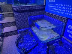 -青蓬蒸汽海鲜·深圳老字号·团建聚会(壹方城店)