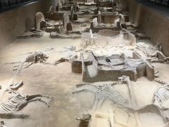 -洛阳周王城天子驾六博物馆