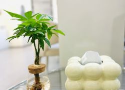 -1R日式轻奢美睫美甲翘睫