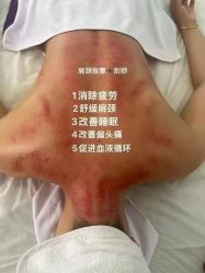 -香薇妮丝·定制减肥·身材管理