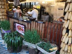 -大鹅岛绿色生态美食园