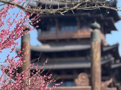 -杭州半山国家森林公园