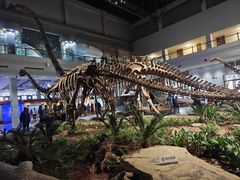 -自贡恐龙博物馆