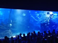 -江和美海洋公园