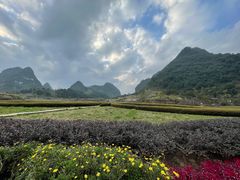 -靖西鹅泉风景区