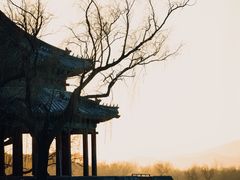 -颐和园