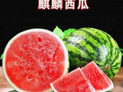 -颐而康·按摩·艾灸·足疗(汽车东站店)