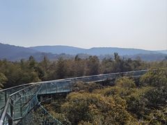 -陶祖圣境风景区