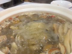 -蘑统田下·野生菌火锅