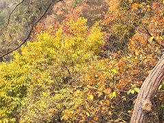 -秦岭终南山世界地质公园翠华山景区