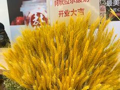 -Blueglass酸奶(财富购物中心店)