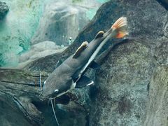 -常州海昌海洋探索馆